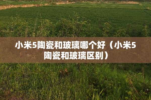 小米5陶瓷和玻璃哪个好（小米5陶瓷和玻璃区别）