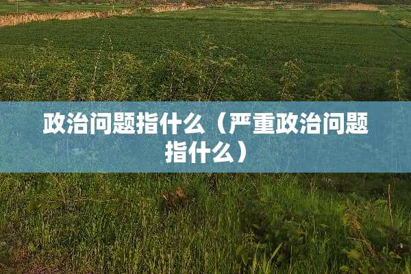 **问题指什么（严重**问题指什么）