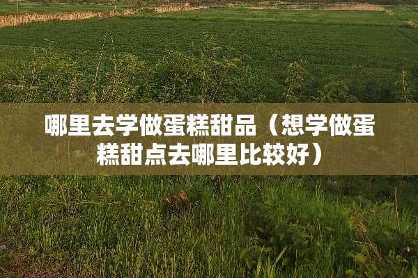 哪里去学做蛋糕甜品（想学做蛋糕甜点去哪里比较好）