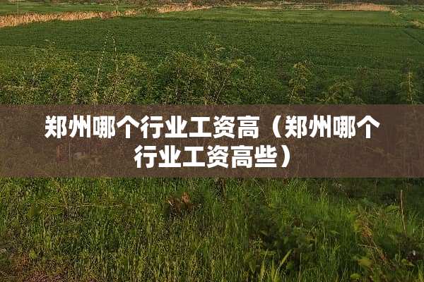 郑州哪个行业工资高（郑州哪个行业工资高些）