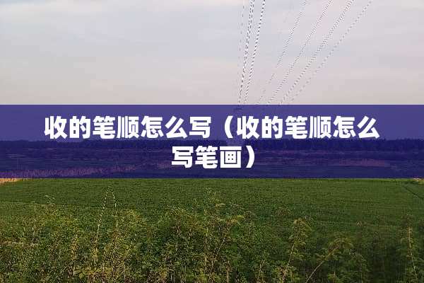 收的笔顺怎么写（收的笔顺怎么写笔画）