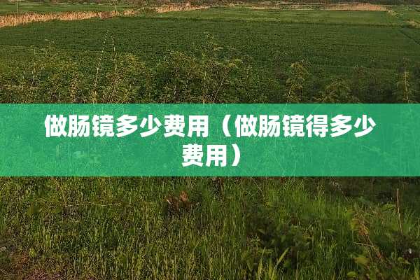 做肠镜多少费用（做肠镜得多少费用）