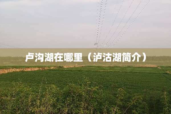 卢沟湖在哪里（泸沽湖简介）