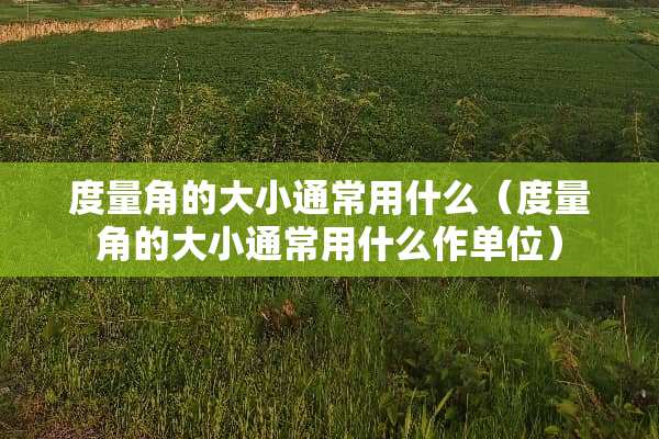 度量角的大小通常用什么（度量角的大小通常用什么作单位）