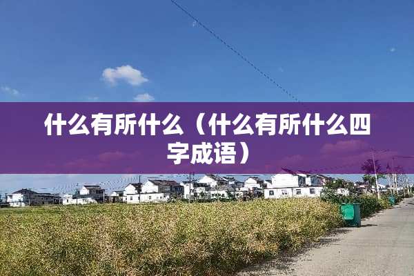 什么有所什么（什么有所什么四字成语）