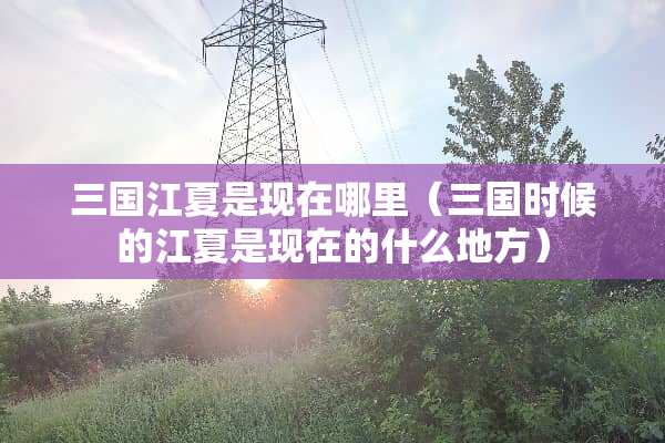 三国江夏是现在哪里（三国时候的江夏是现在的什么地方）