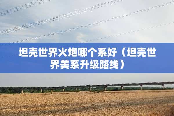 坦壳世界火*哪个系好（坦壳世界美系升级路线）