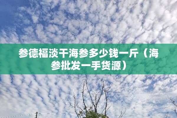 参德福淡干海参多少钱一斤（海参批发一手货源）