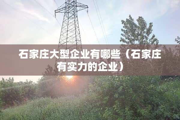 石家庄大型企业有哪些（石家庄有实力的企业）