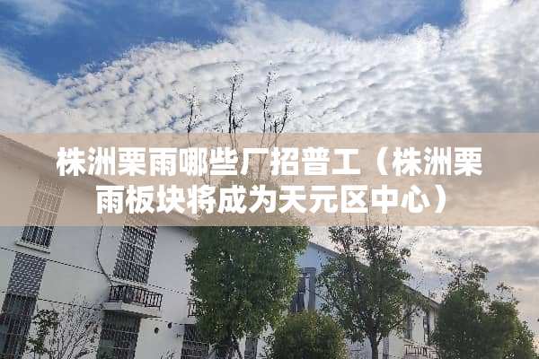 株洲栗雨哪些厂招普工（株洲栗雨板块将成为天元区中心）