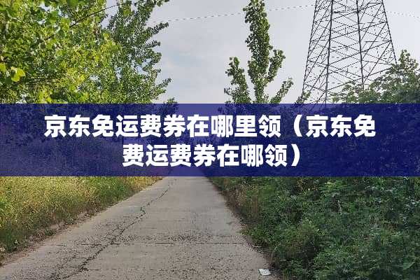 京东免运费券在哪里领（京东免费运费券在哪领）