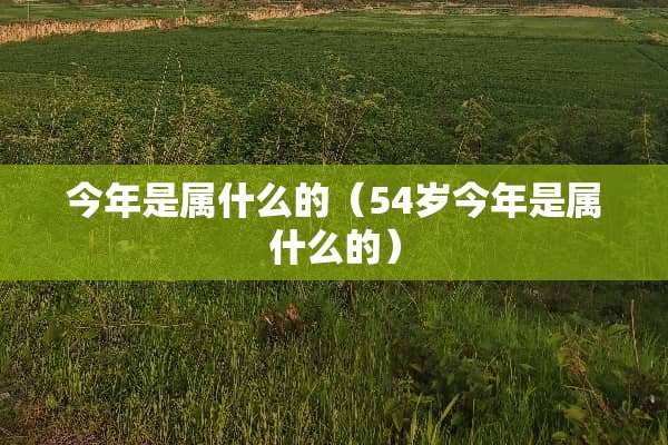 今年是属什么的（54岁今年是属什么的）