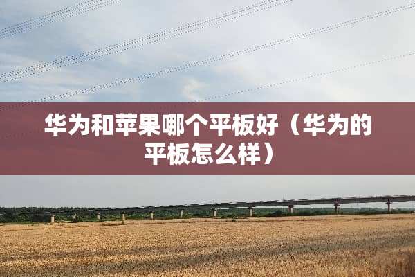 华为和苹果哪个平板好（华为的平板怎么样）