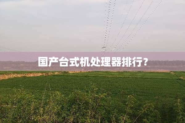 国产台式机处理器排行？