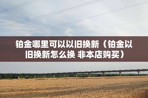 铂金哪里可以以旧换新（铂金以旧换新怎么换 非本店购买）
