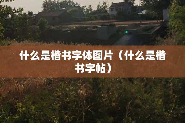 什么是楷书字体图片（什么是楷书字帖）