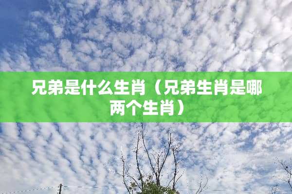 兄弟是什么生肖（兄弟生肖是哪两个生肖）