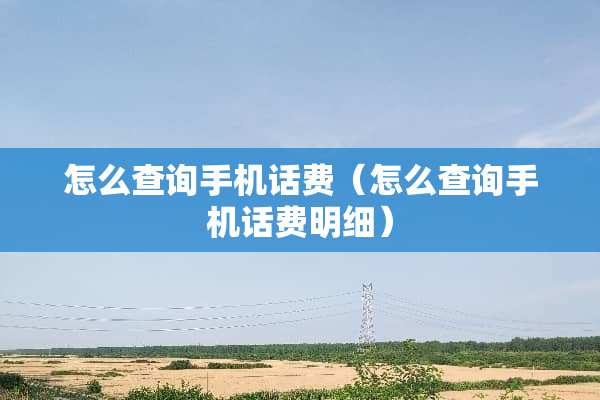 怎么查询手机话费（怎么查询手机话费明细）