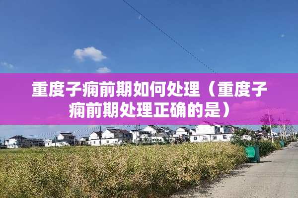 重度子痫前期如何处理（重度子痫前期处理正确的是）