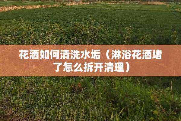 花洒如何清洗水垢（淋浴花洒堵了怎么拆开清理）