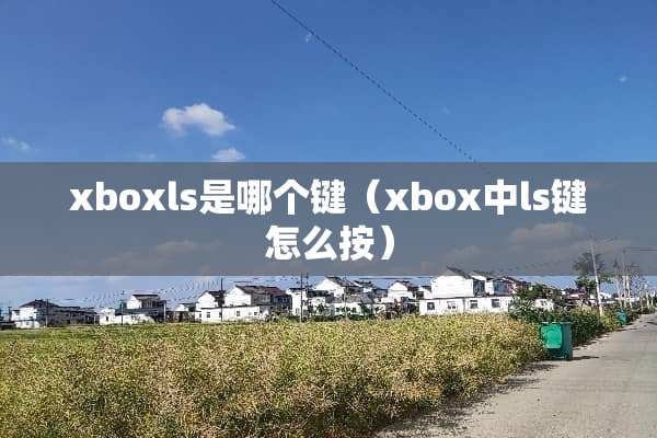 xboxls是哪个键（xbox中ls键怎么按）