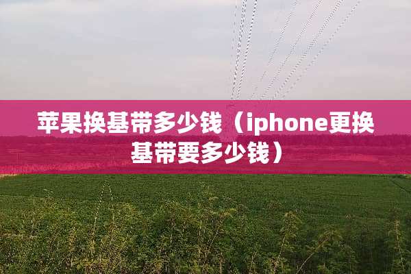 苹果换基带多少钱（iphone更换基带要多少钱）