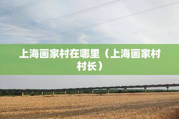 上海画家村在哪里（上海画家村村长）