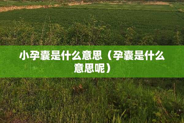 小孕囊是什么意思（孕囊是什么意思呢）