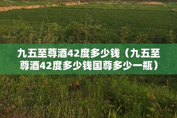 九五至尊酒42度多少钱（九五至尊酒42度多少钱国尊多少一瓶）