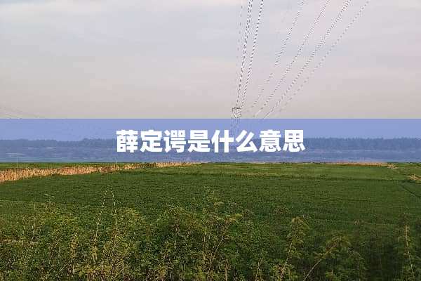 薛定谔是什么意思