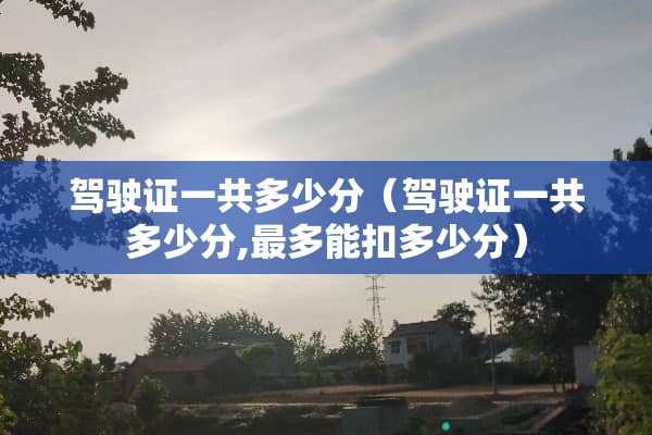 ***一共多少分（***一共多少分,最多能扣多少分）