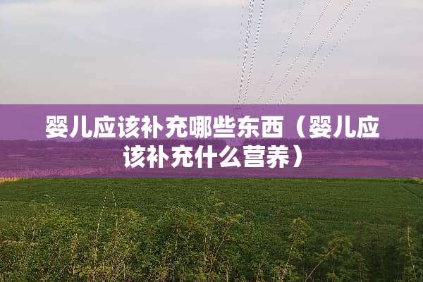 婴儿应该补充哪些东西（婴儿应该补充什么营养）