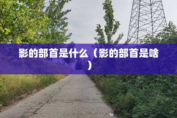 影的部首是什么（影的部首是啥）