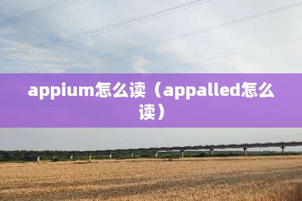 appium怎么读（appalled怎么读）
