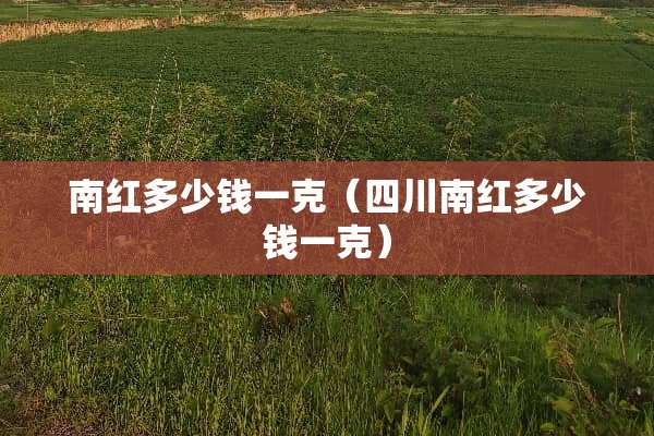 南红多少钱一克（四川南红多少钱一克）
