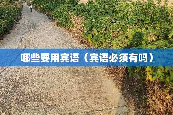 哪些要用宾语（宾语必须有吗）