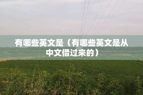 有哪些英文是（有哪些英文是从中文借过来的）