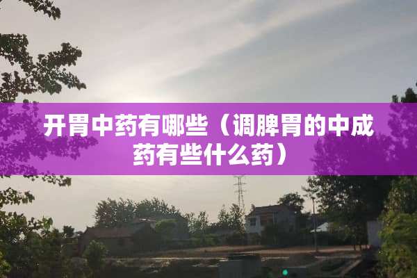 开胃中药有哪些（调脾胃的中成药有些什么药）