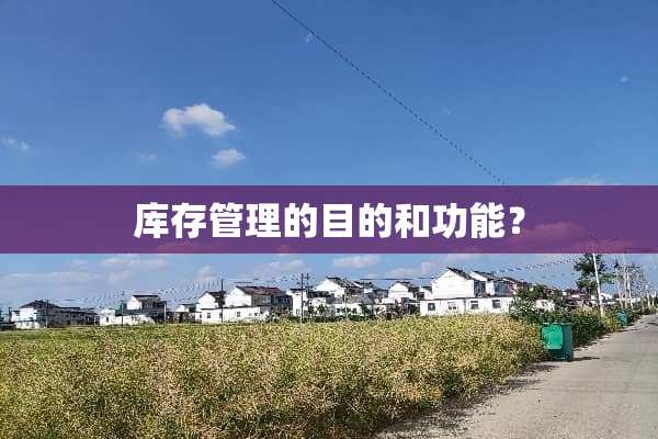 库存管理的目的和功能？