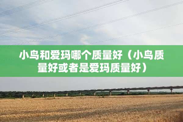 小鸟和爱玛哪个质量好（小鸟质量好或者是爱玛质量好）