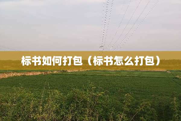 标书如何打包（标书怎么打包）