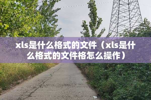 xls是什么格式的文件（xls是什么格式的文件格怎么操作）