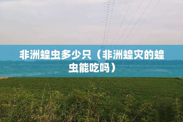 非洲蝗虫多少只（非洲蝗灾的蝗虫能吃吗）