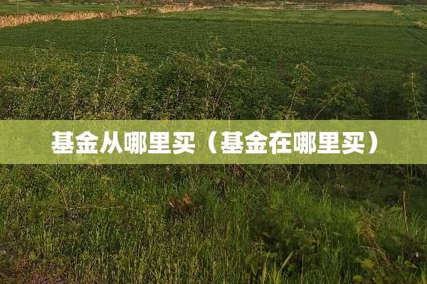 基金从哪里买（基金在哪里买）