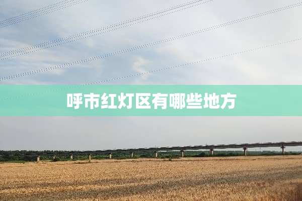 呼市***有哪些地方