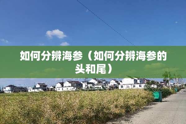 如何分辨海参（如何分辨海参的头和尾）