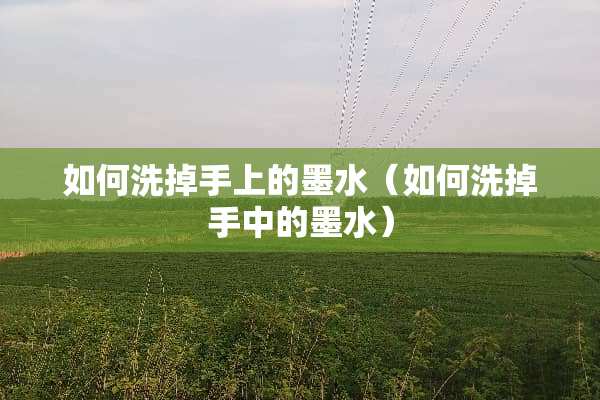 如何洗掉手上的墨水（如何洗掉手中的墨水）
