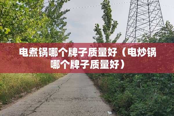 电煮锅哪个牌子质量好（电炒锅哪个牌子质量好）