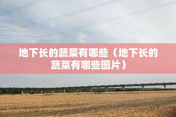 **长的蔬菜有哪些（**长的蔬菜有哪些图片）