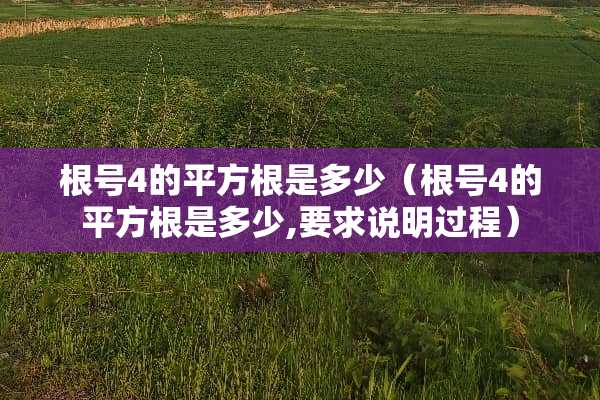 根号4的平方根是多少（根号4的平方根是多少,要求说明过程）
